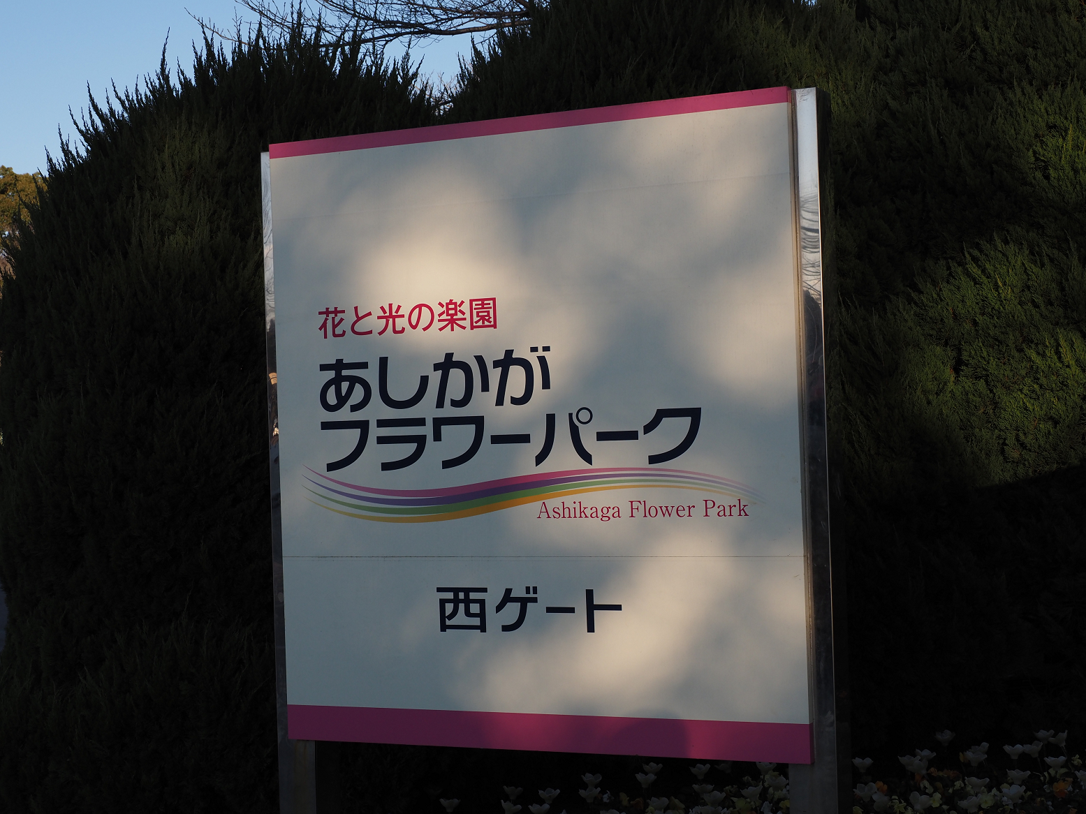 P1030001.jpg