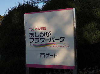 P1030001_thumb.png