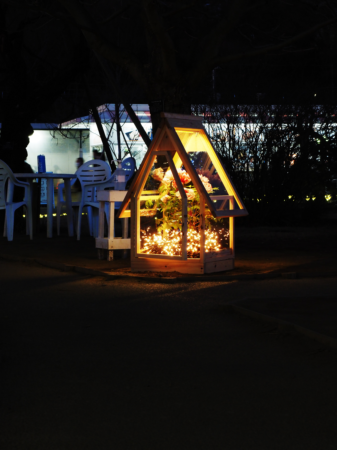 P1030073.jpg