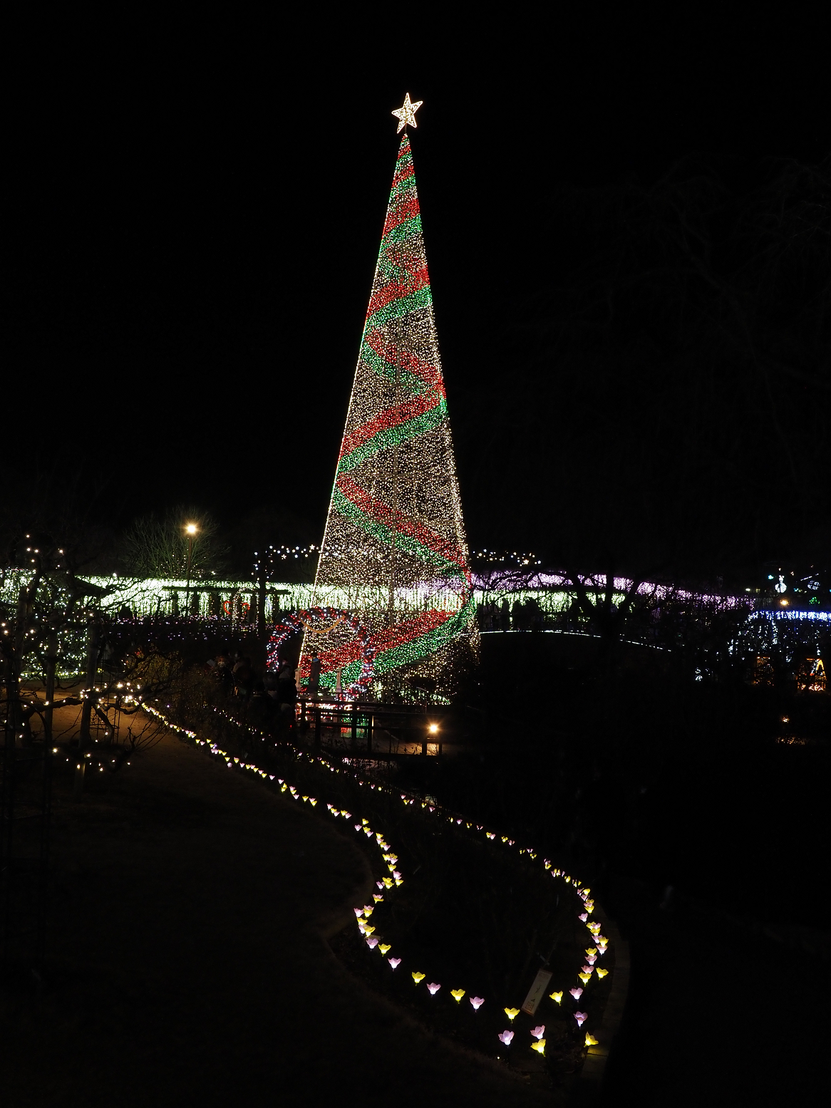 P1030243.jpg