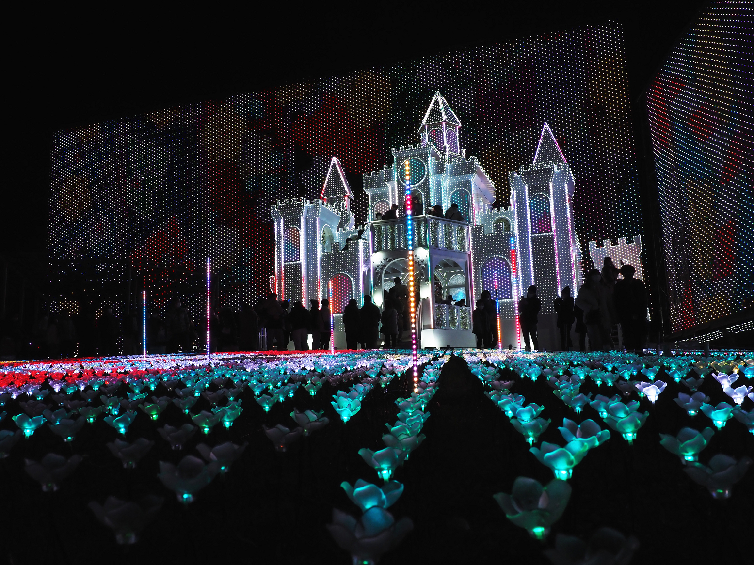 P1030266.jpg