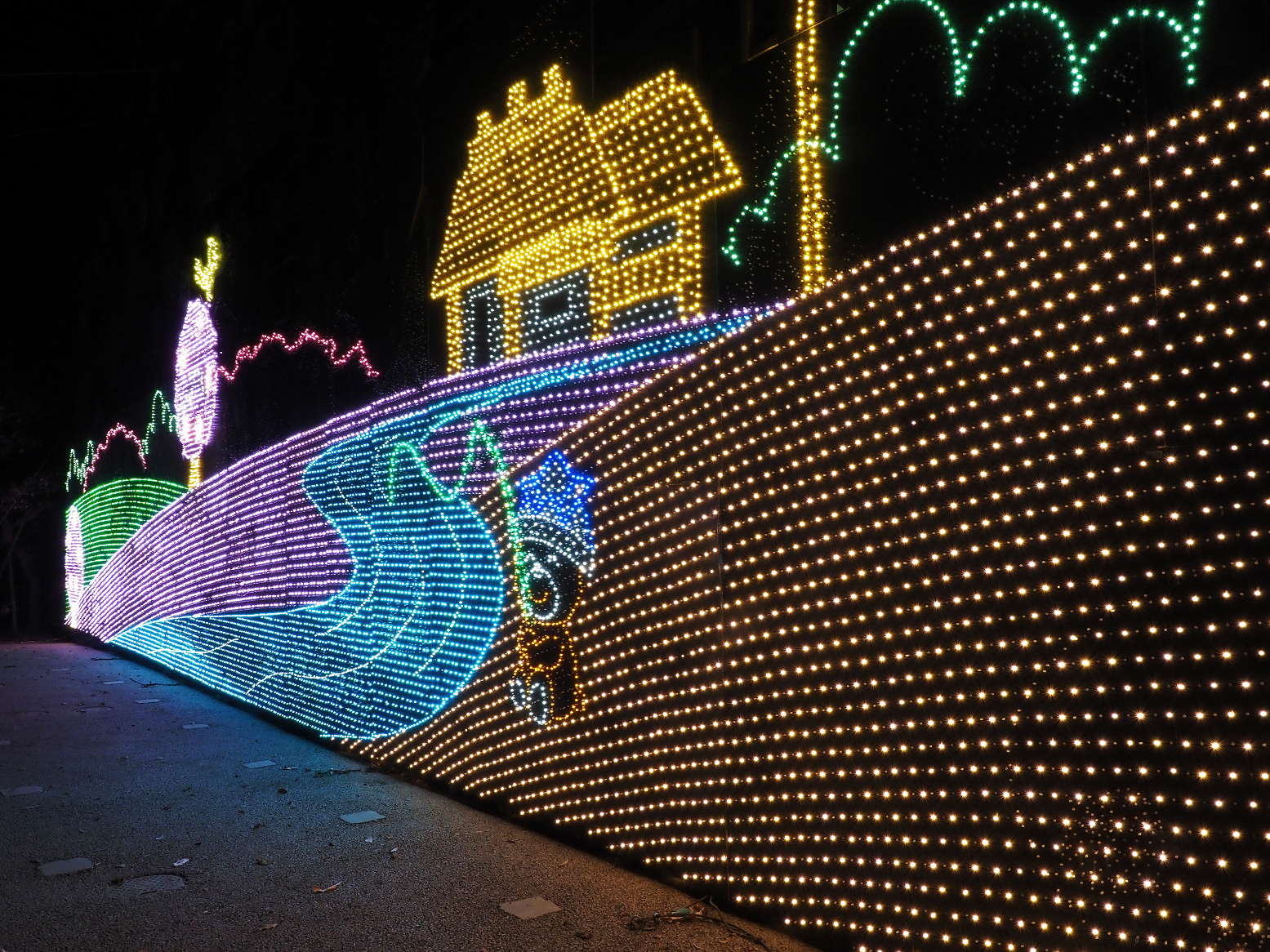 P1030308.jpg