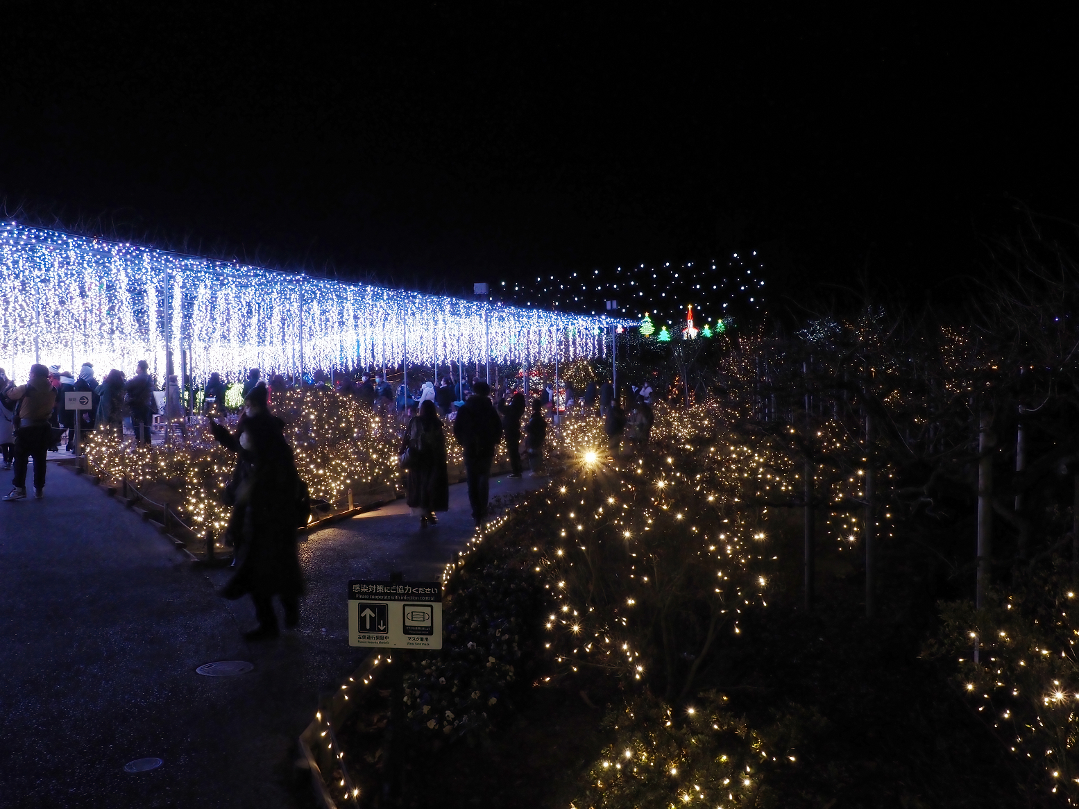 P1030328.jpg