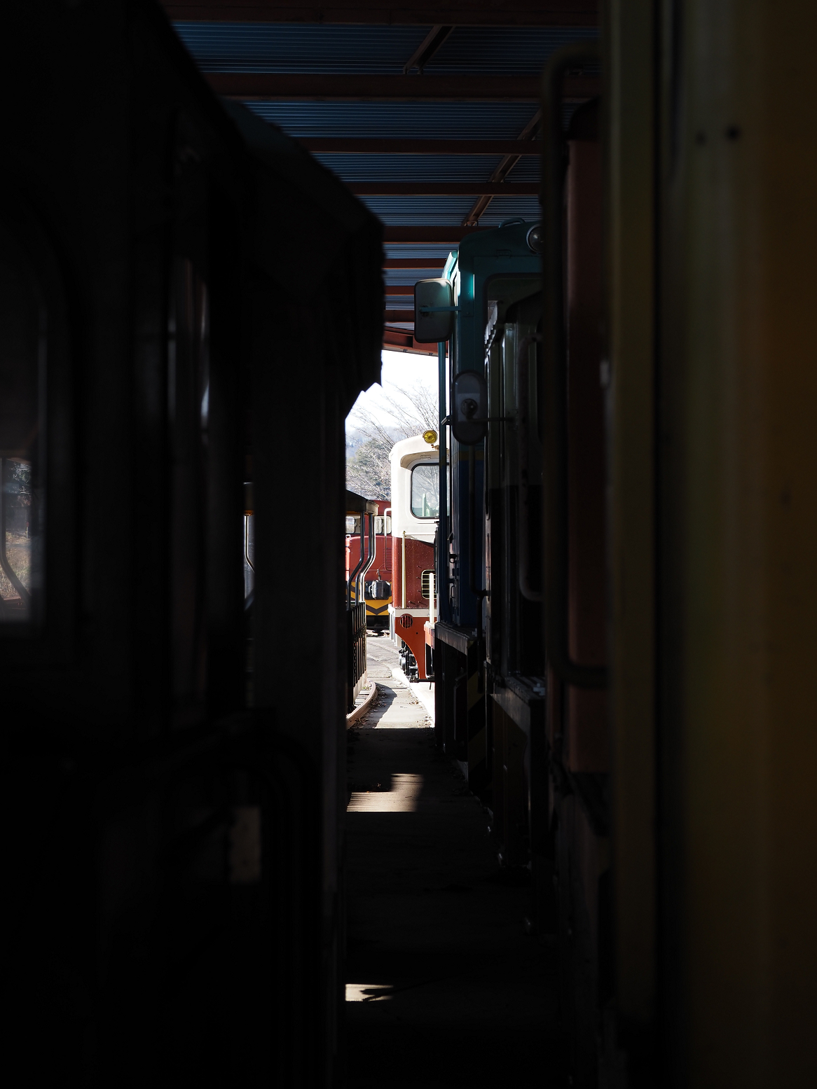 P1090023.jpg
