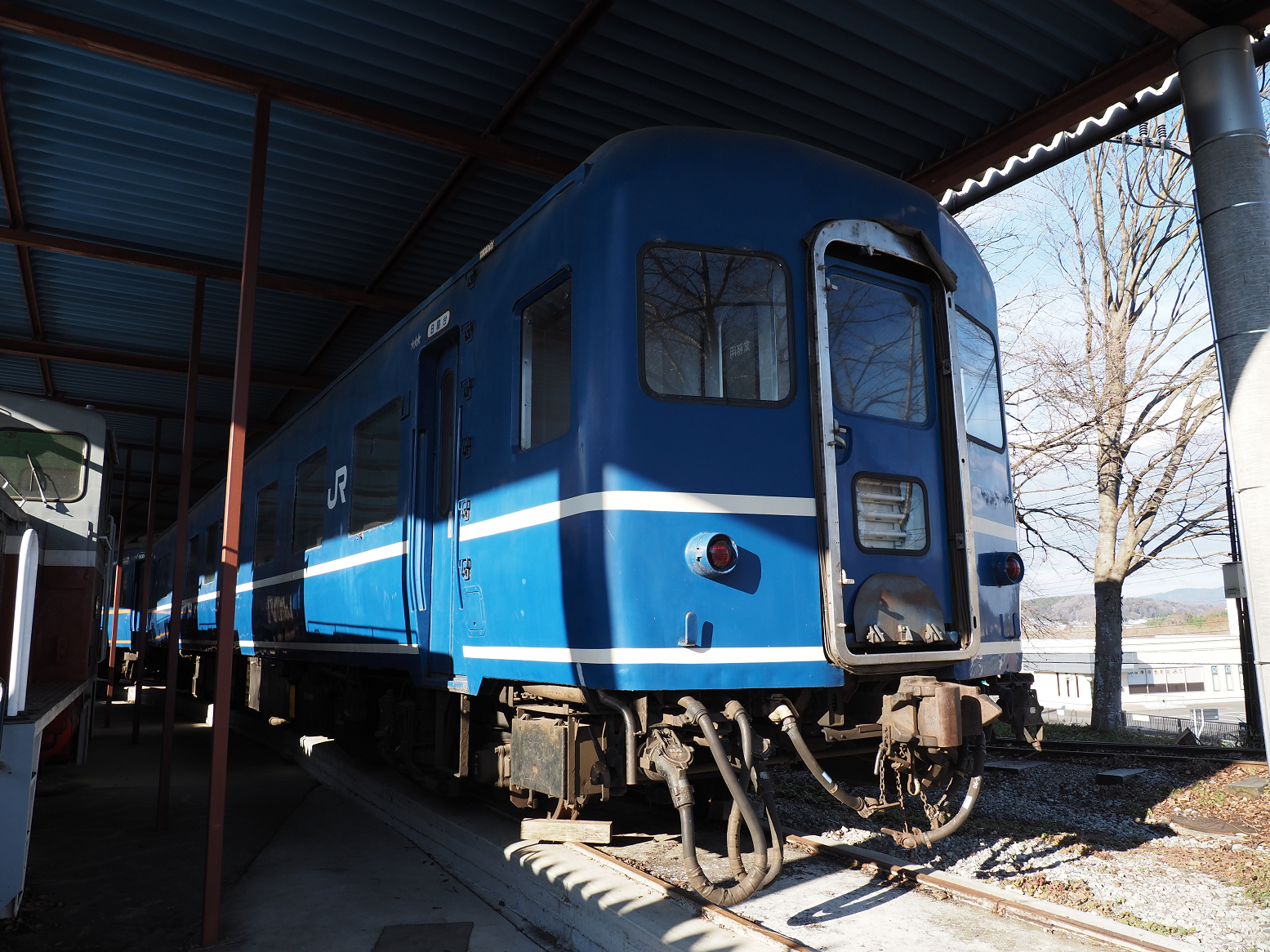 P1090025.jpg