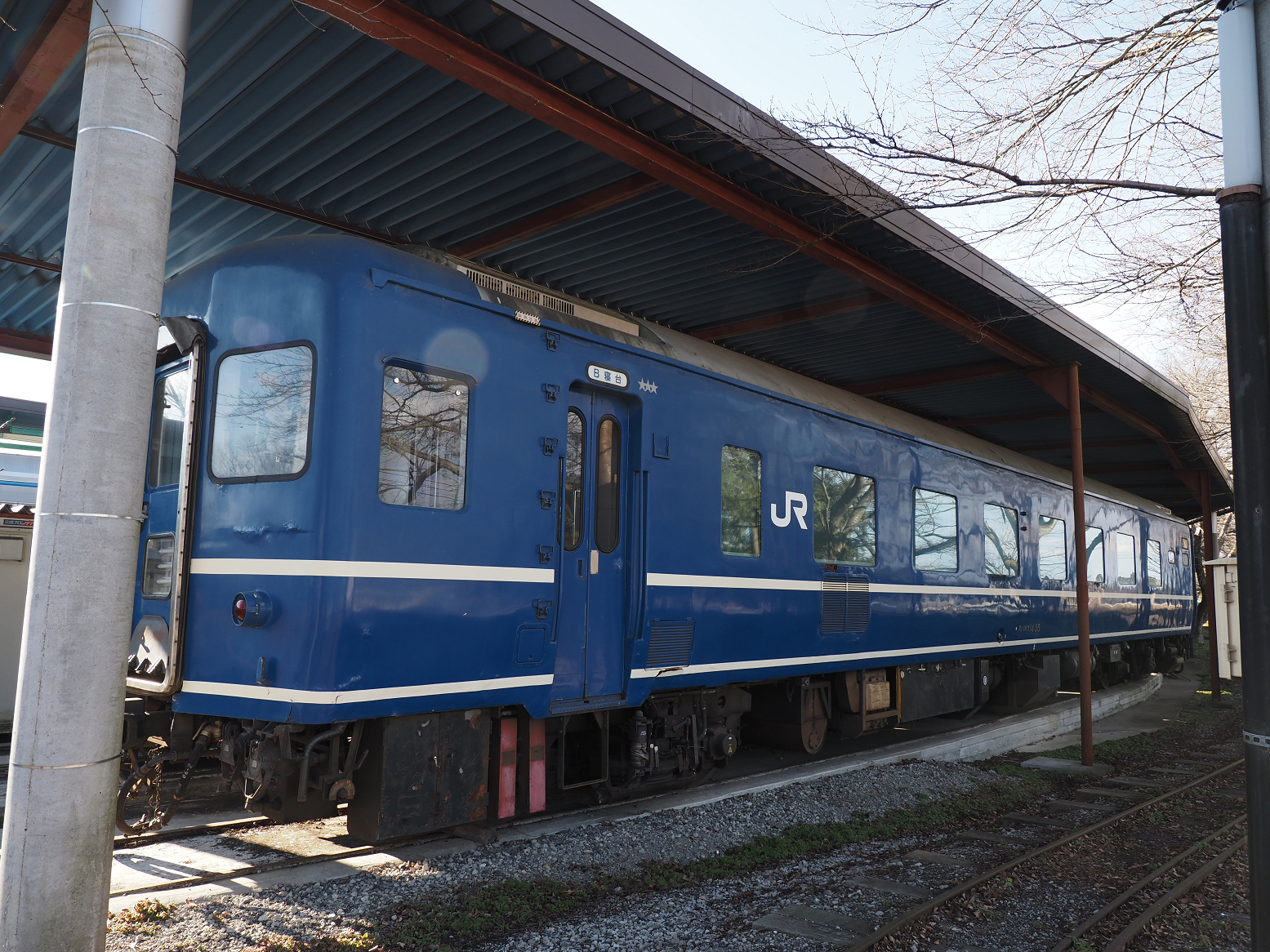 P1090026.jpg