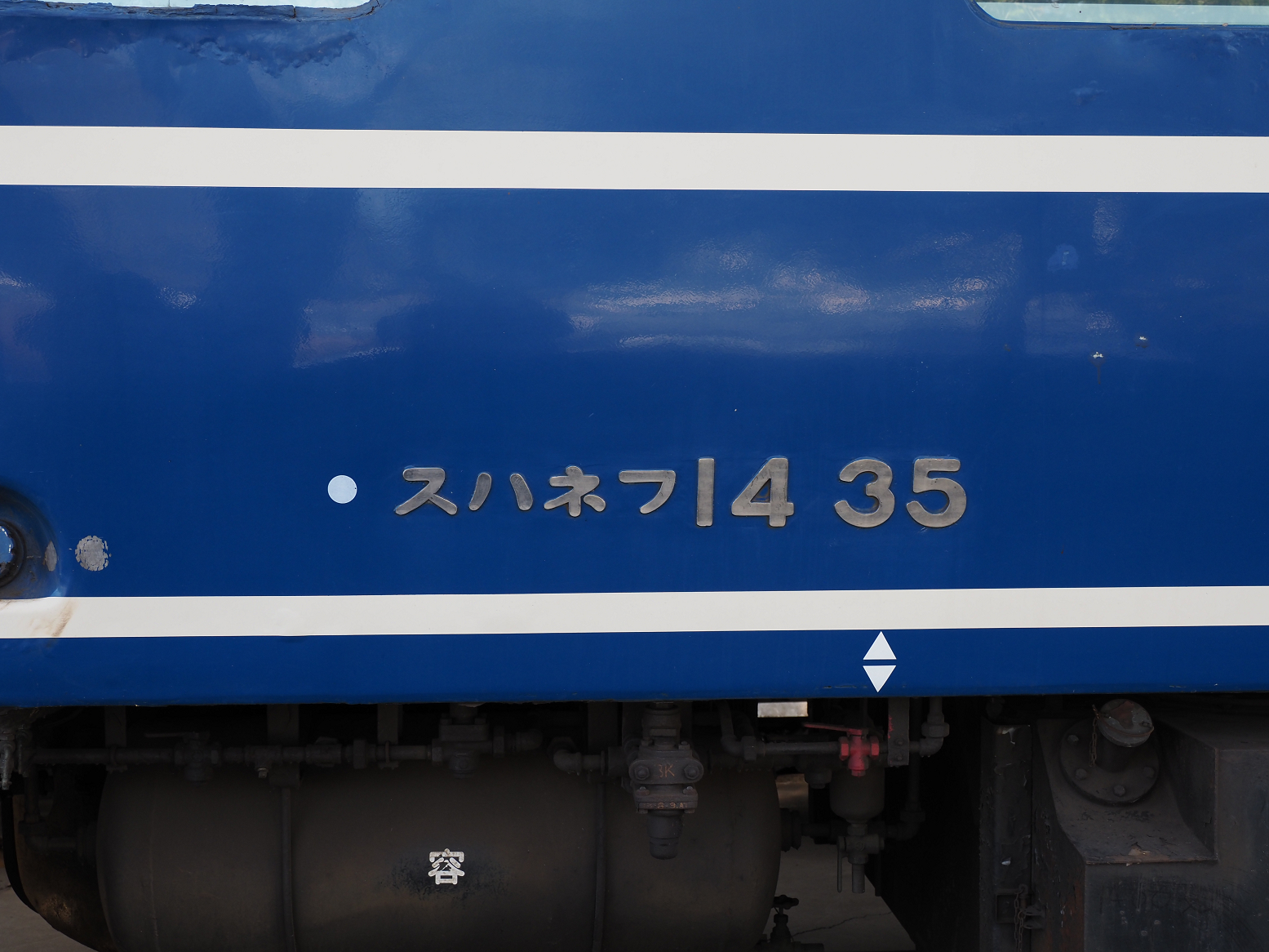 P1090029.jpg