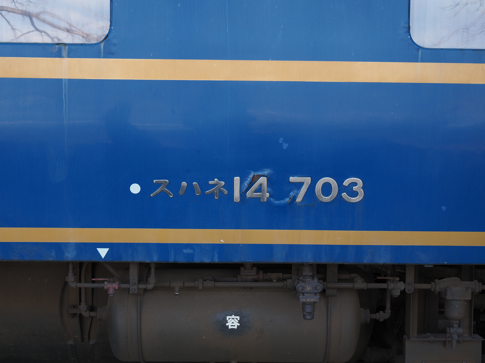P1090037.jpg