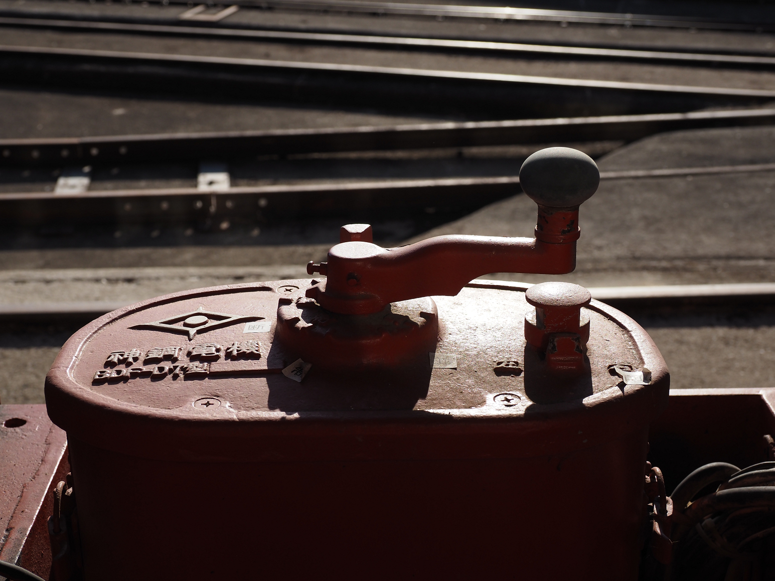 P1090051.jpg