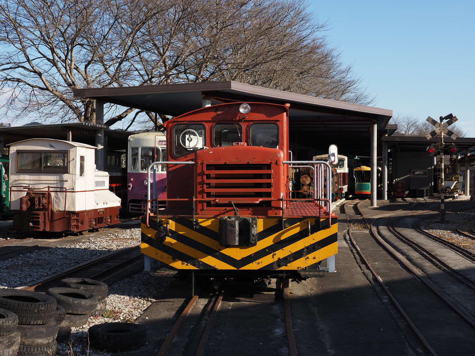 P1090063.jpg