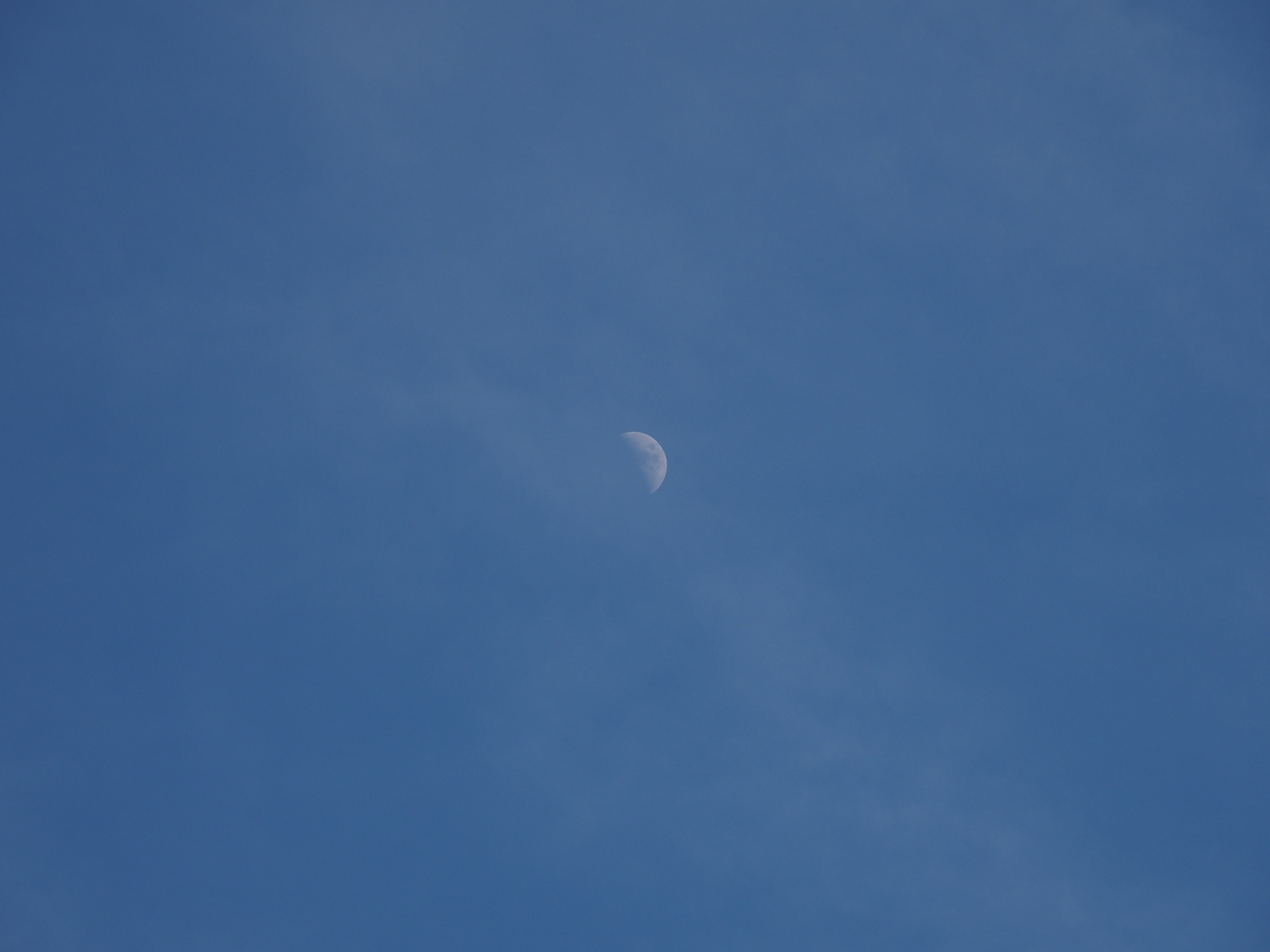 P1090101.jpg