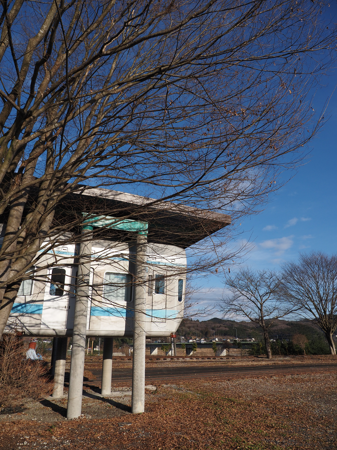 P1090169.jpg