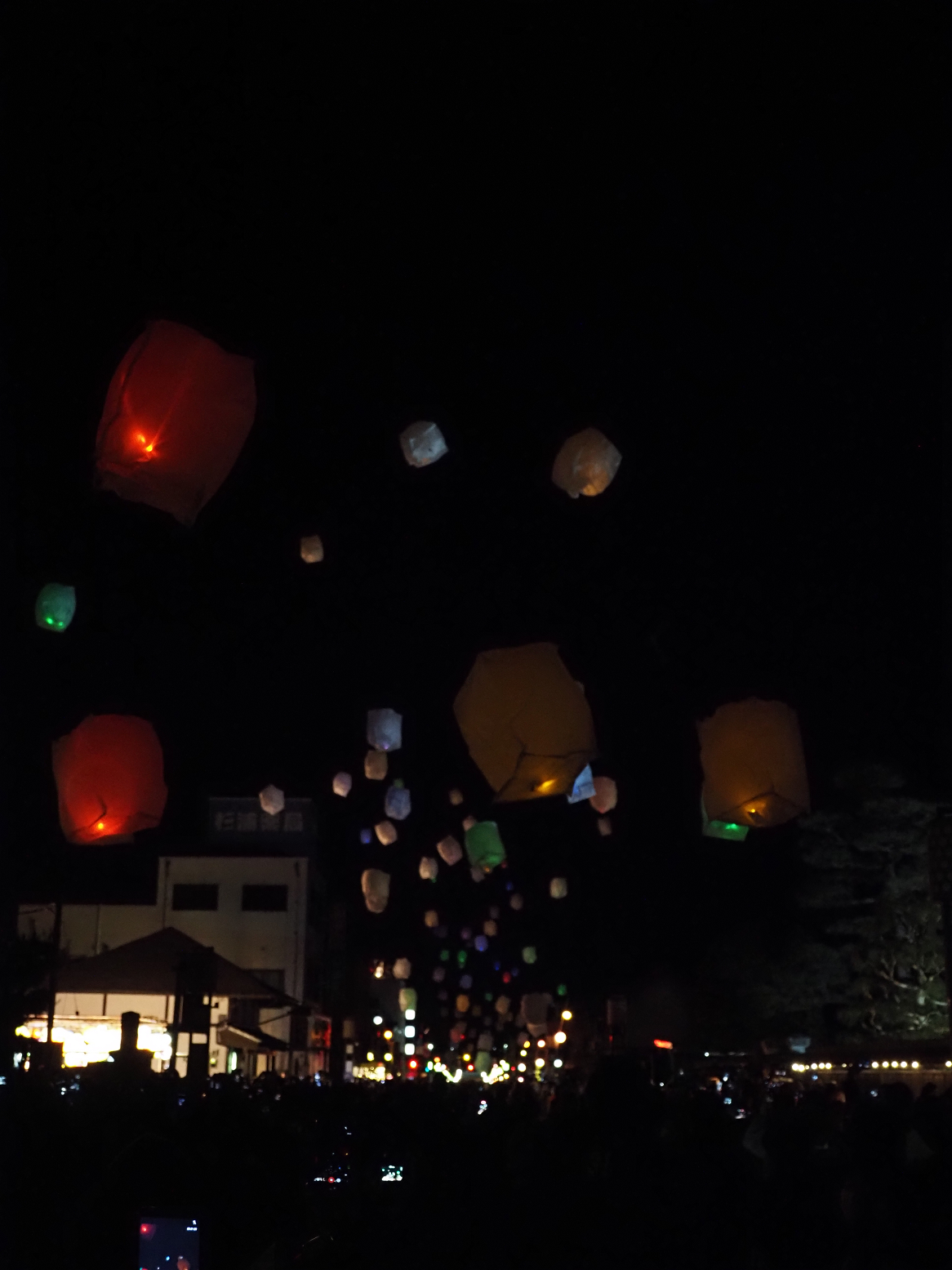 P1090261.jpg