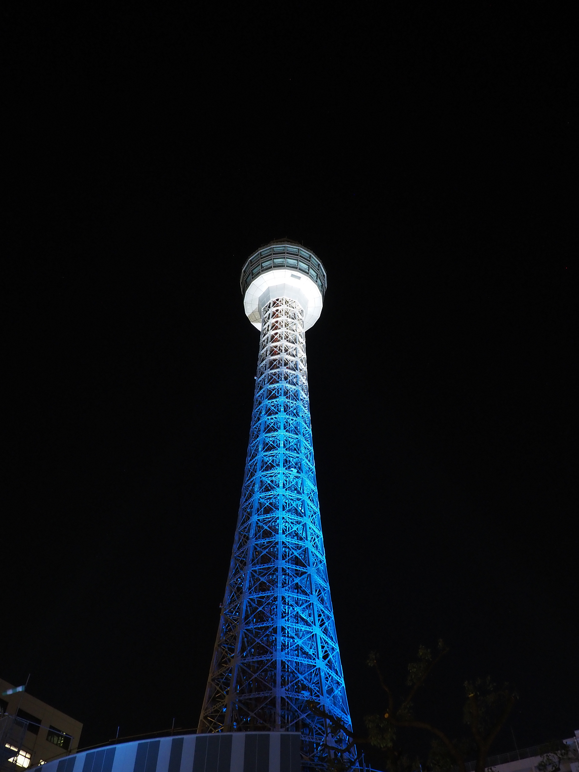 P1210351.jpg