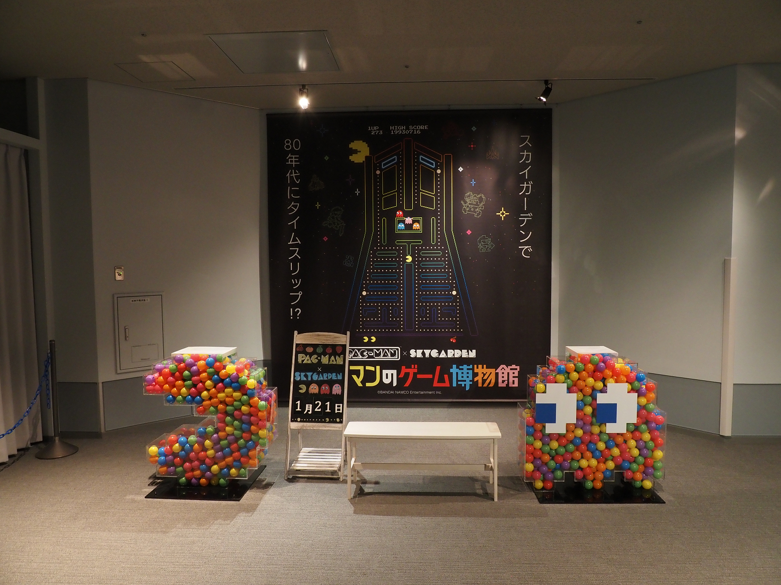 P1210394.jpg