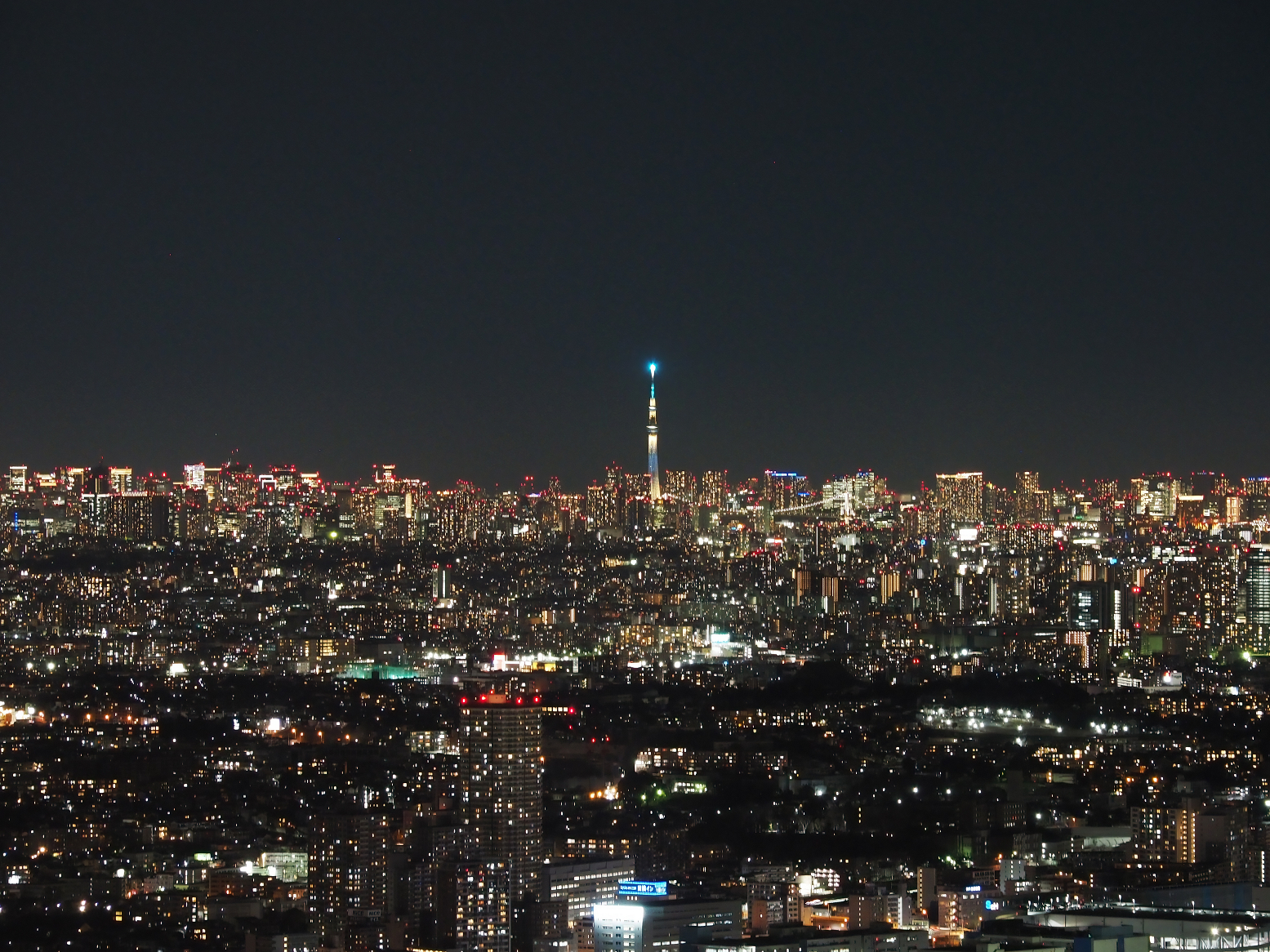 P1210433.jpg