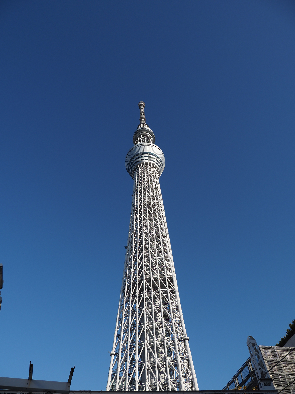 P1220738.jpg