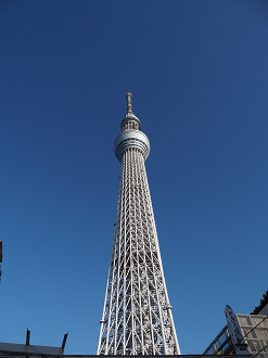 P1220738_thumb.png