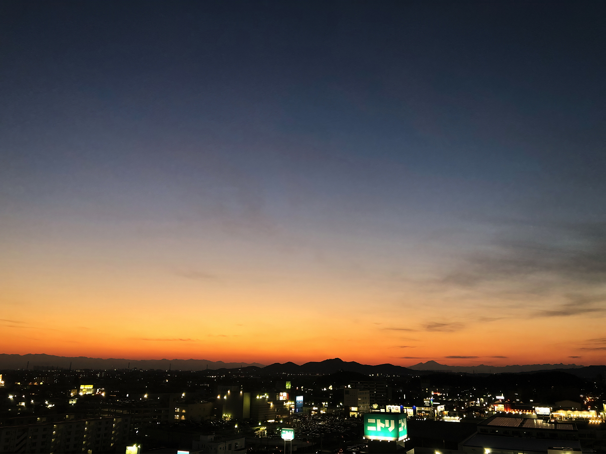 IMG_7447.jpg