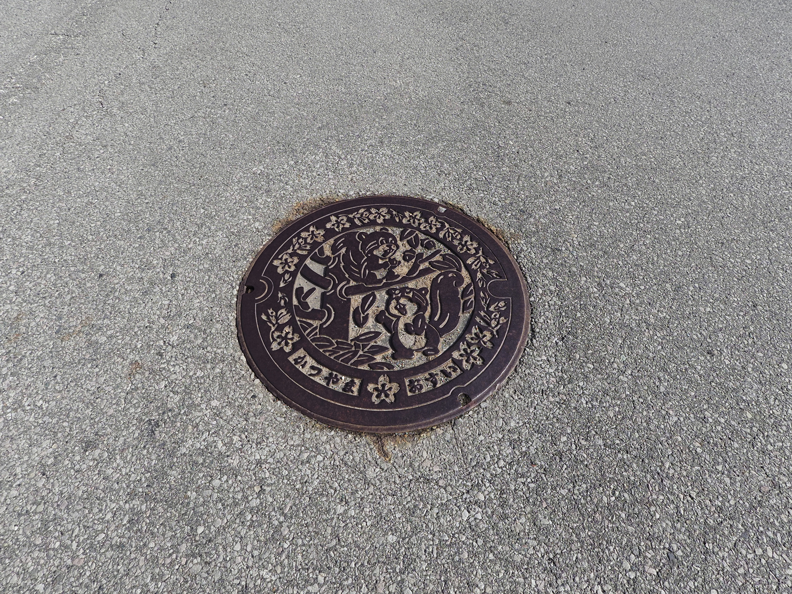 P4020128.jpg