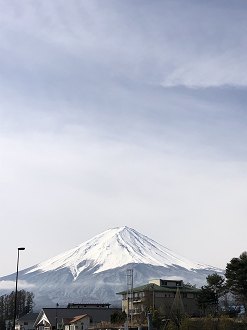 P4020132-03_thumb.png
