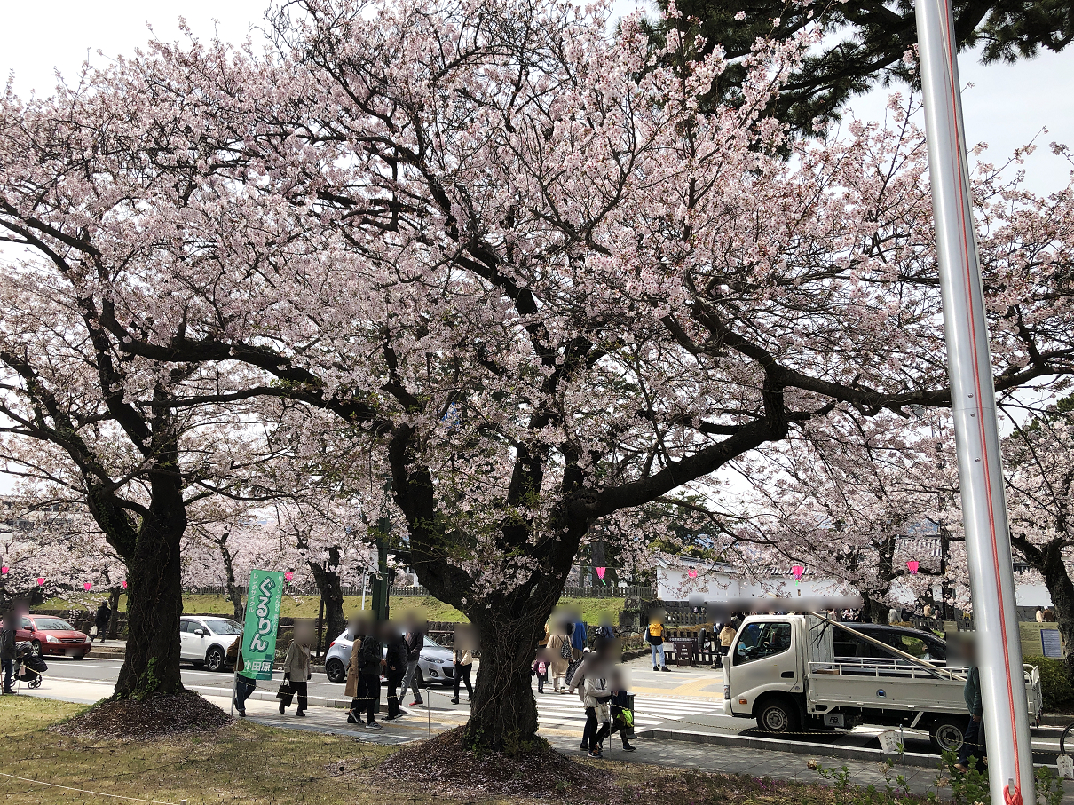 P4020133-04.jpg