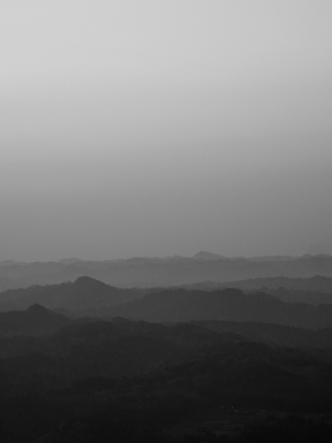 P4080024.jpg
