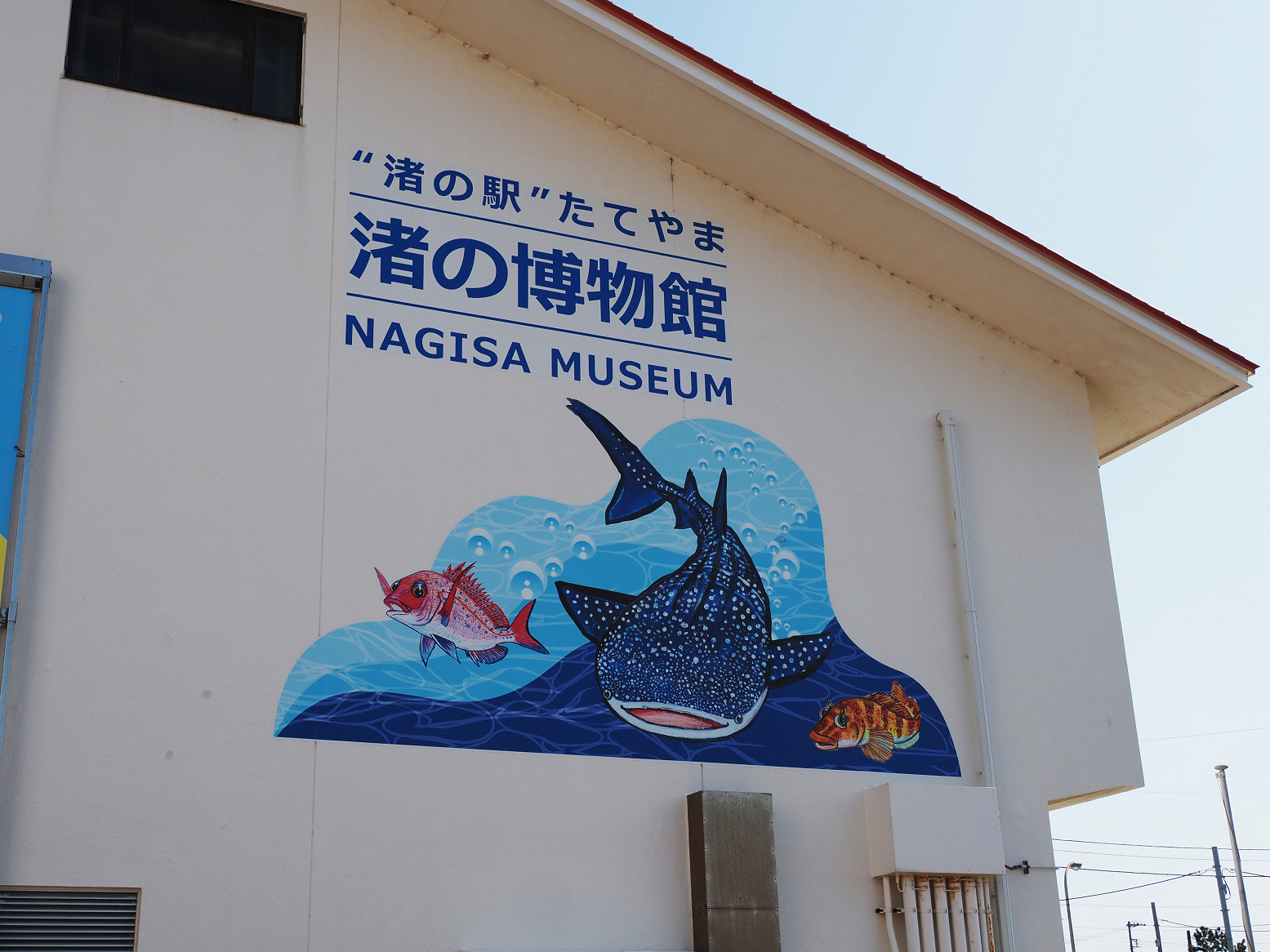 P4080179.jpg