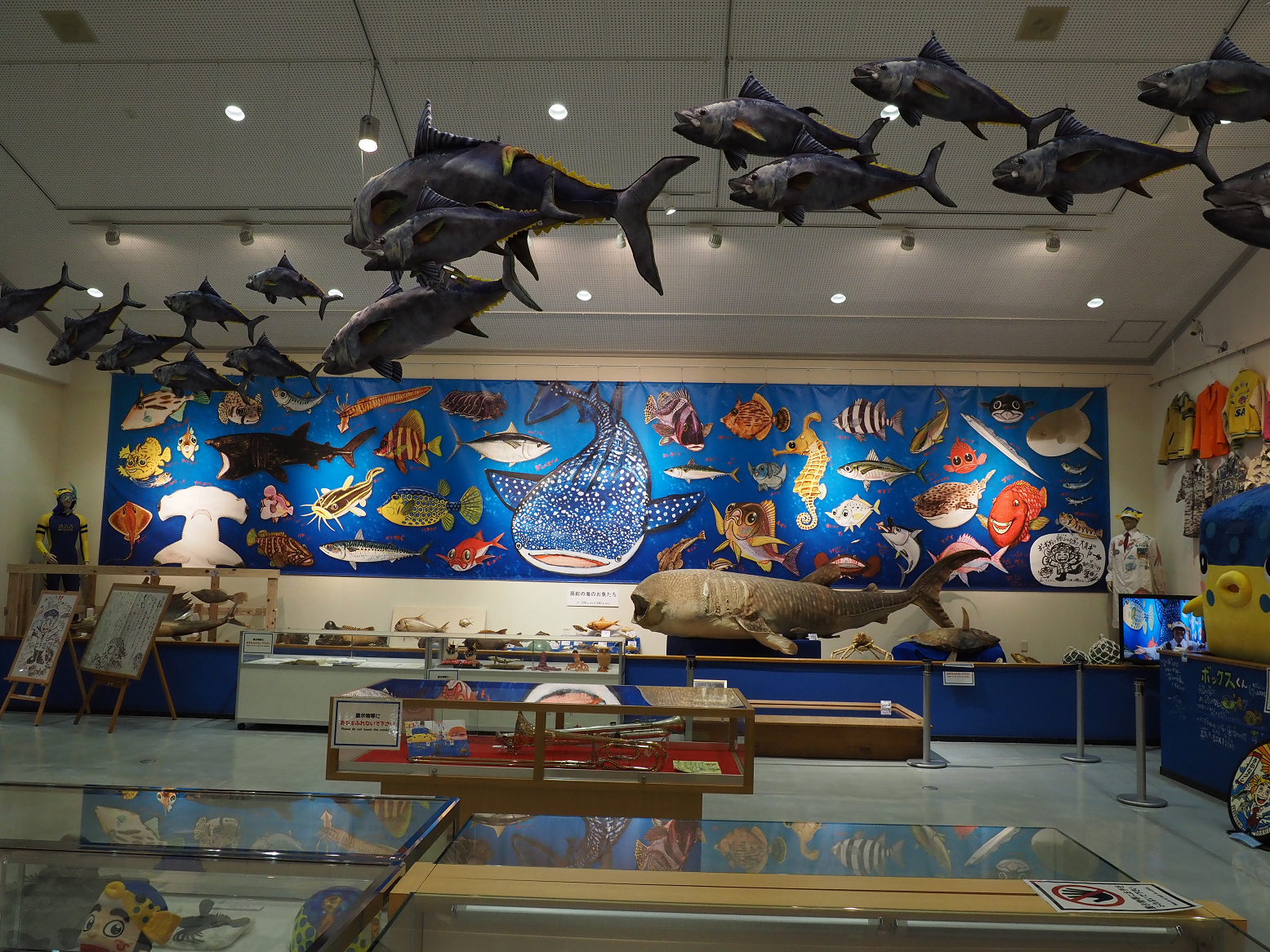 P4080187.jpg