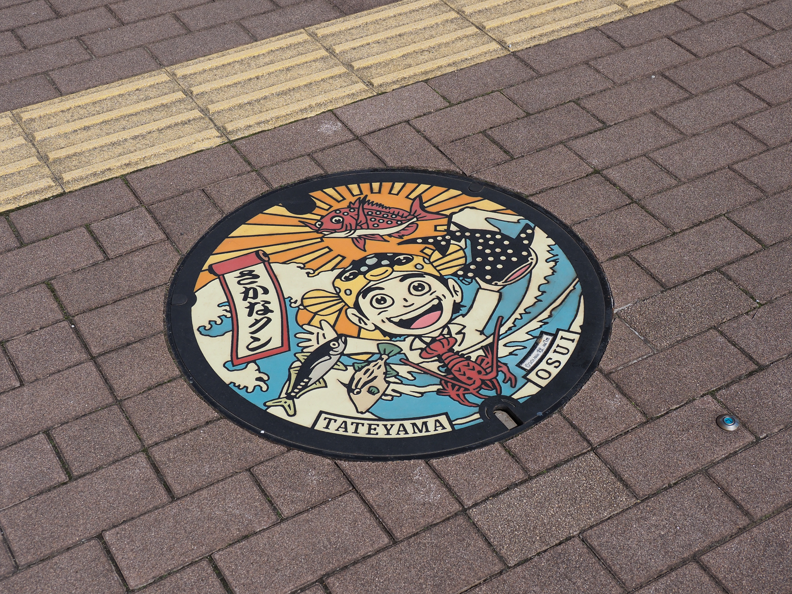 P4080194.jpg