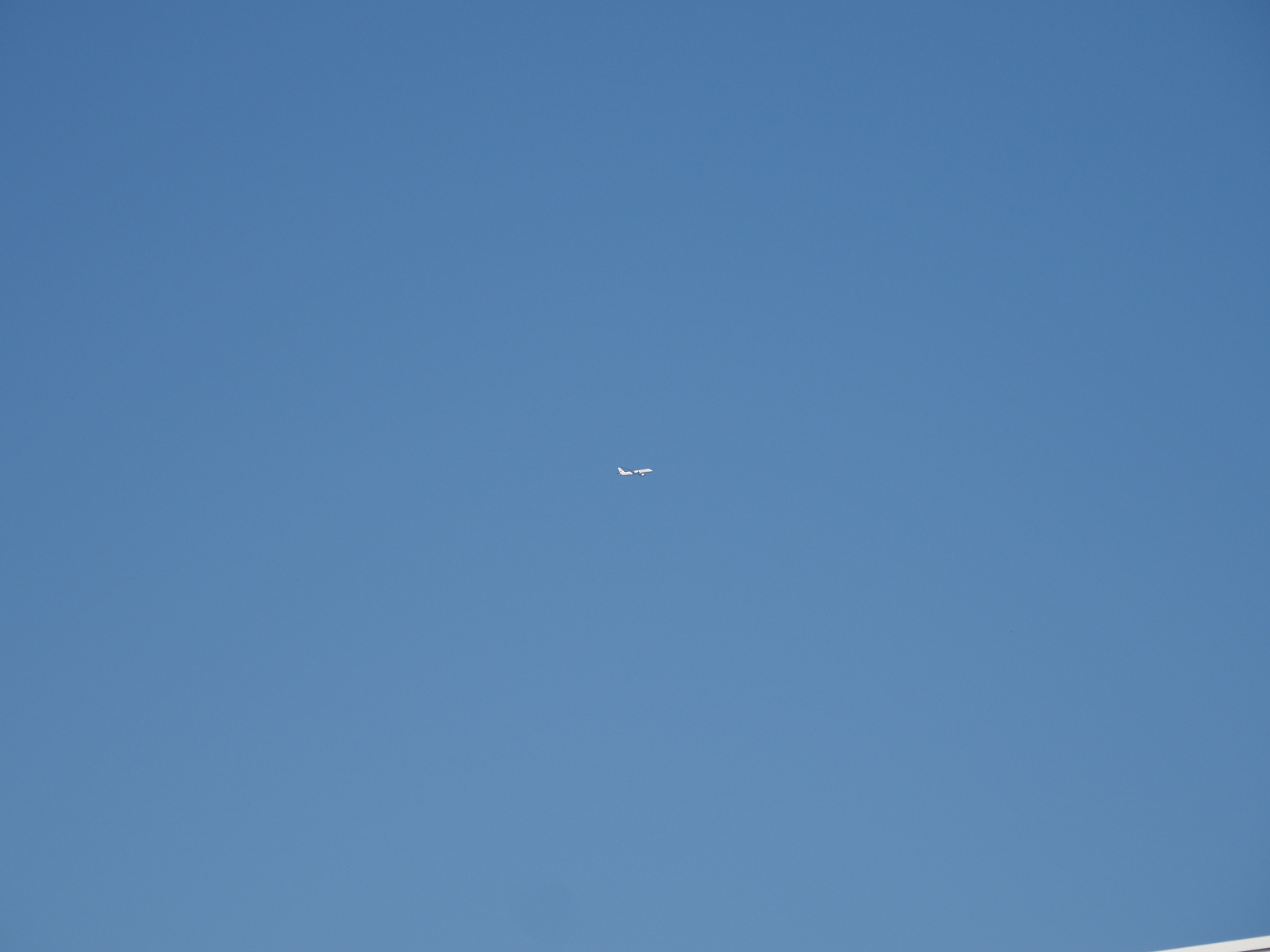 P4080195.jpg