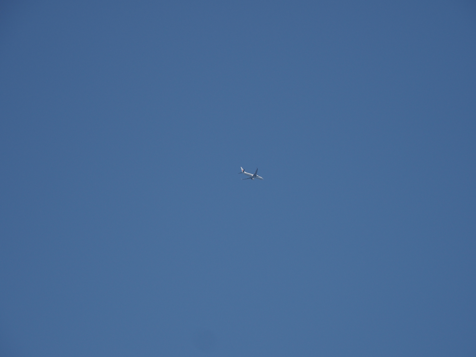 P4080203.jpg