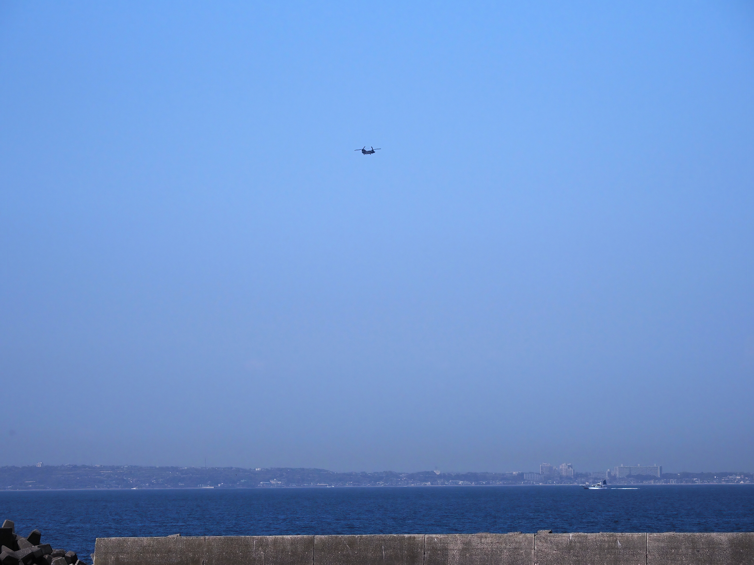 P4080208.jpg