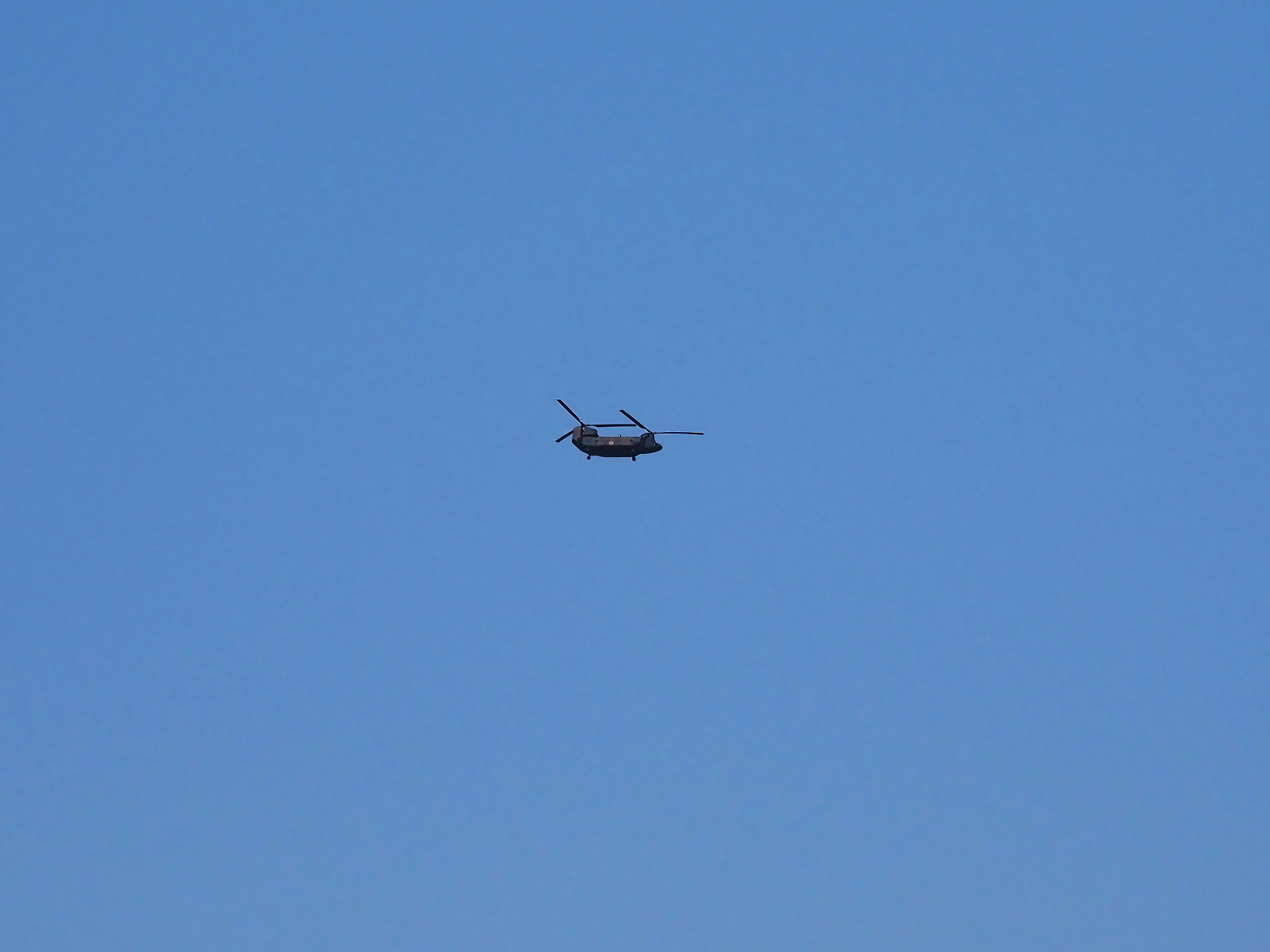 P4080210.jpg