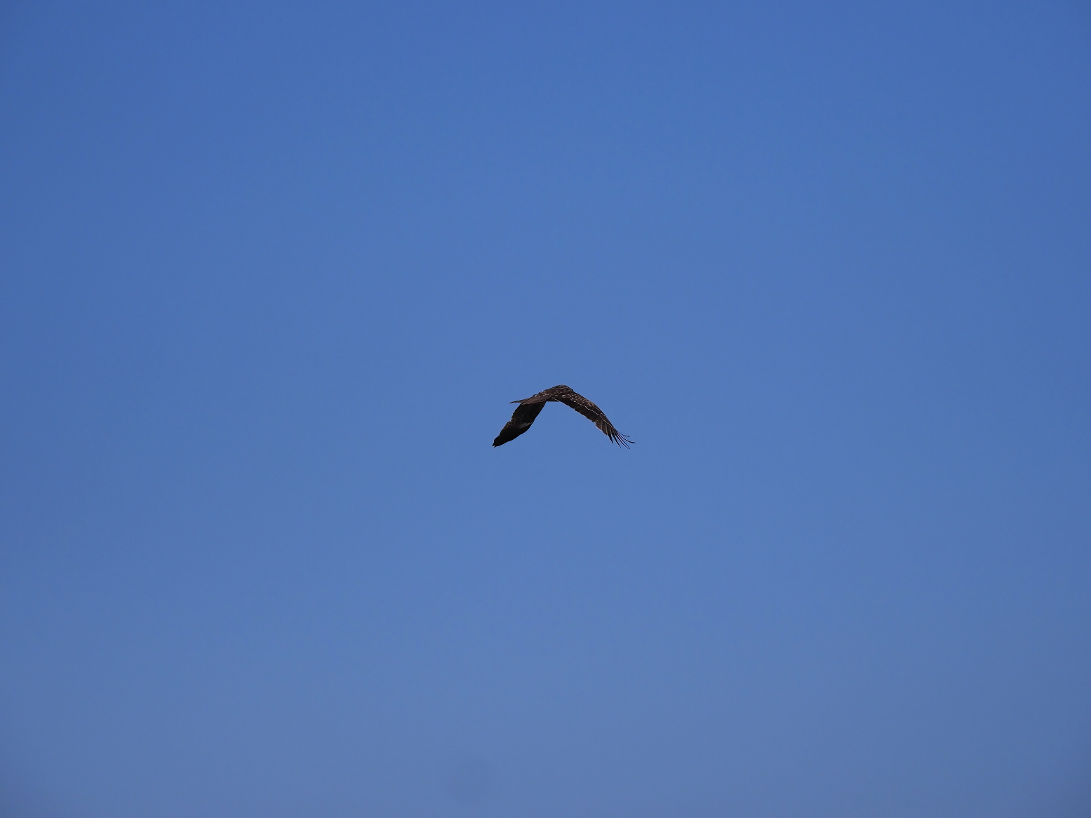 P4080212.jpg