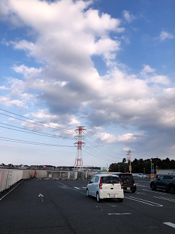 P4080246-05_thumb.png