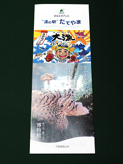 P4080254_thumb.png