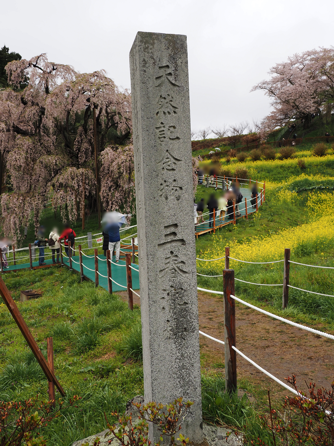 P4160011.jpg