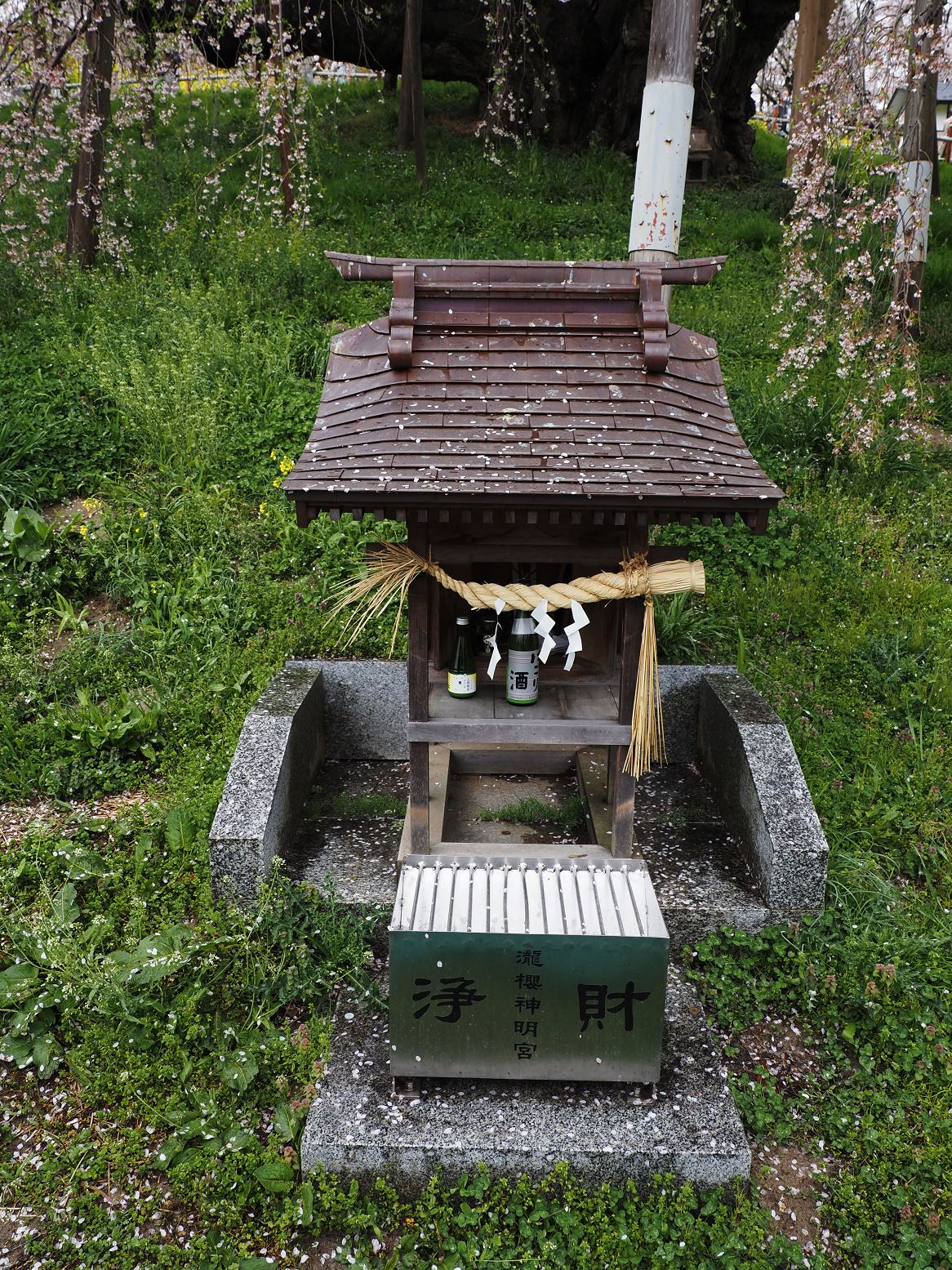 P4160041.jpg