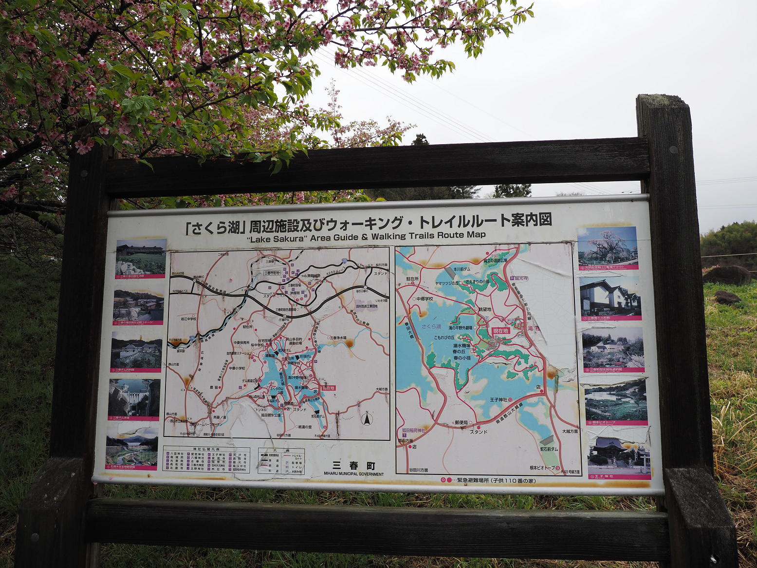 P4160051.jpg