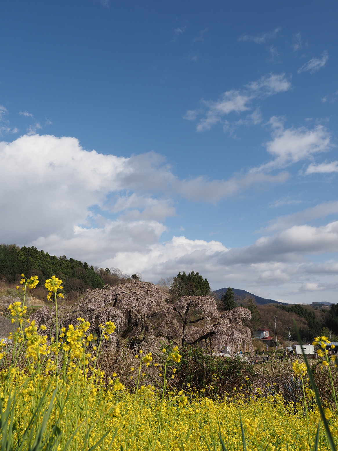 P4160213.jpg