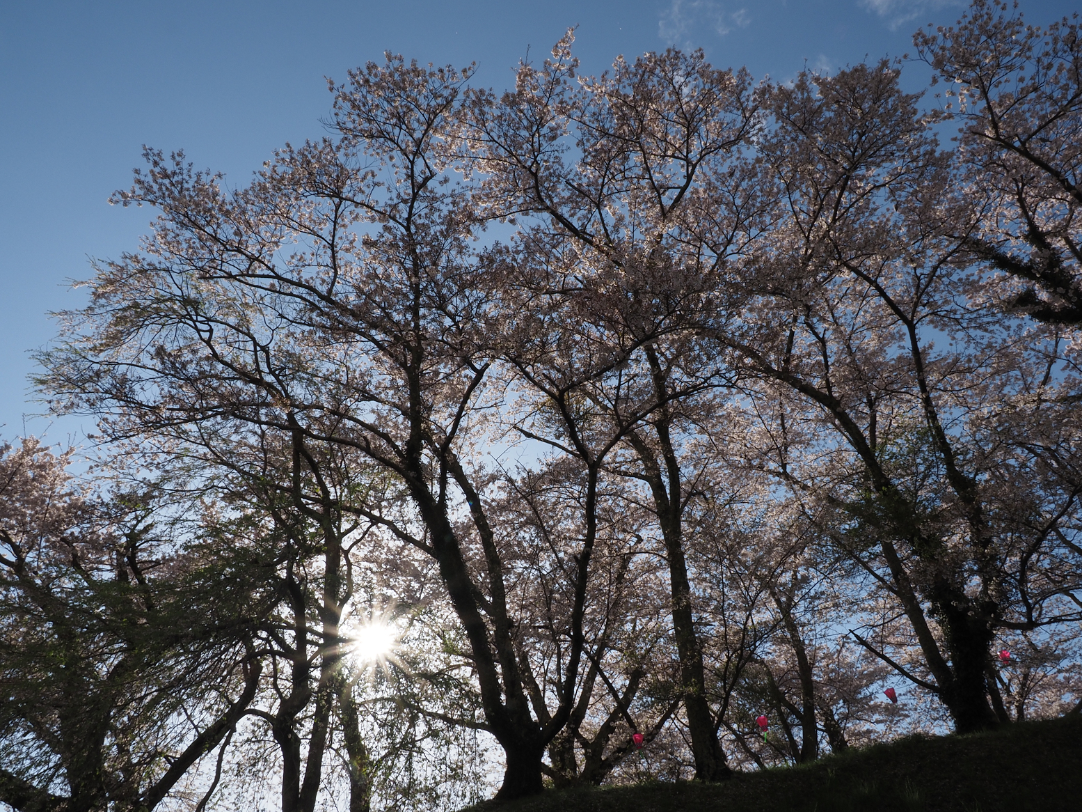P4160234.jpg