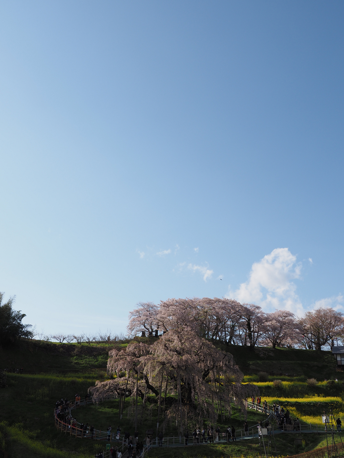 P4160280.jpg