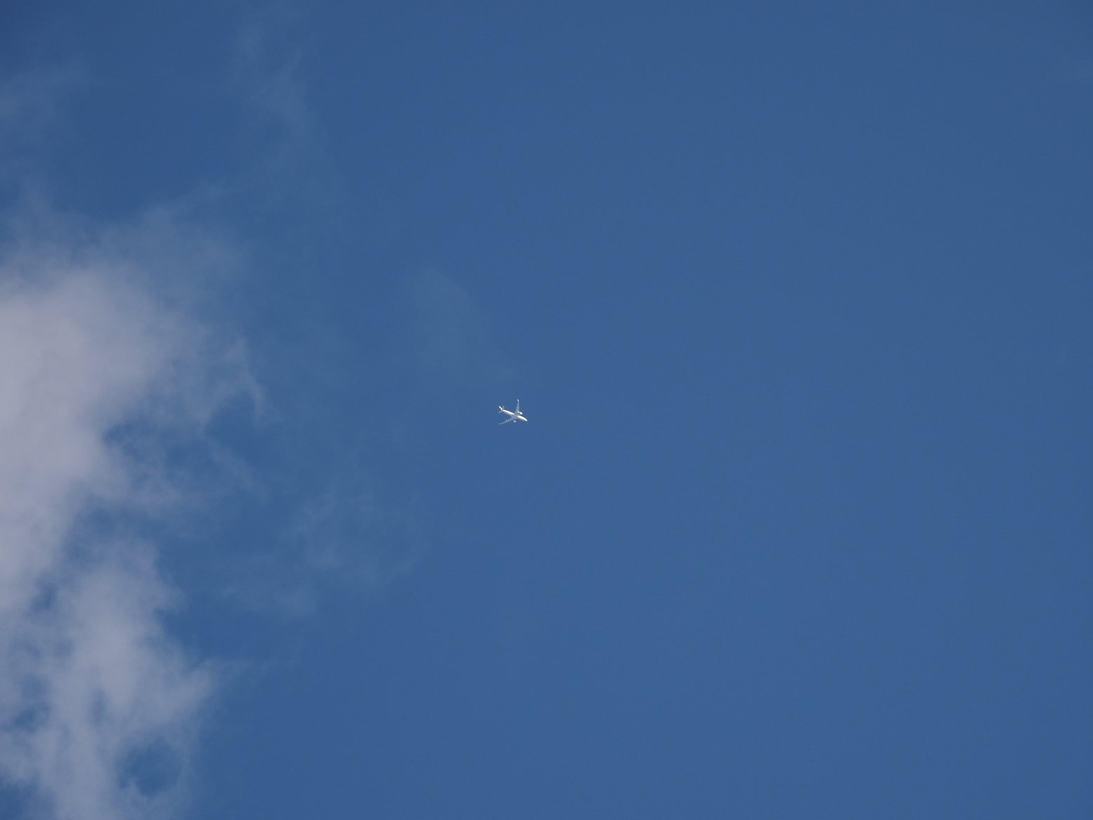 P4160302.jpg