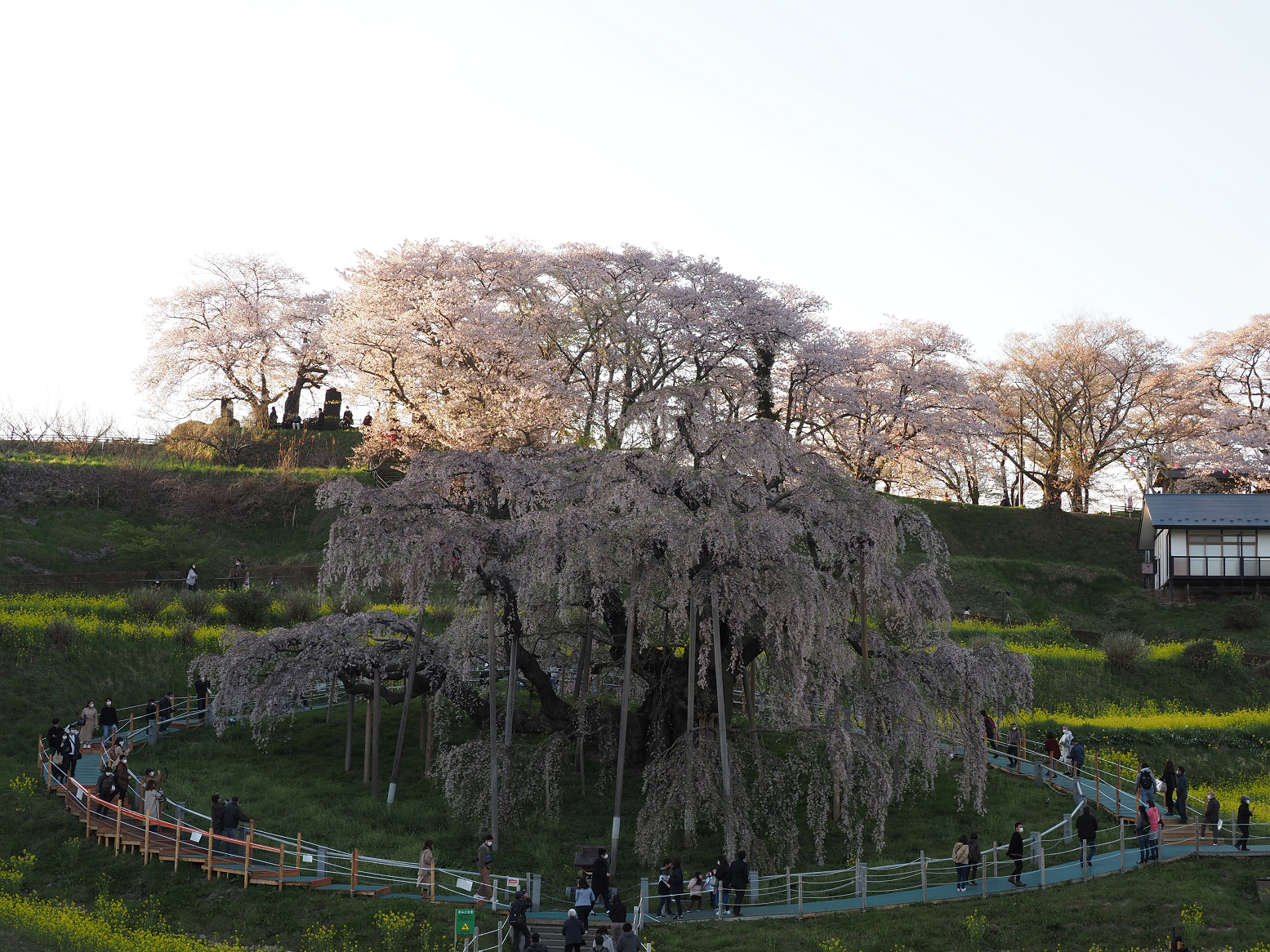 P4160305.jpg