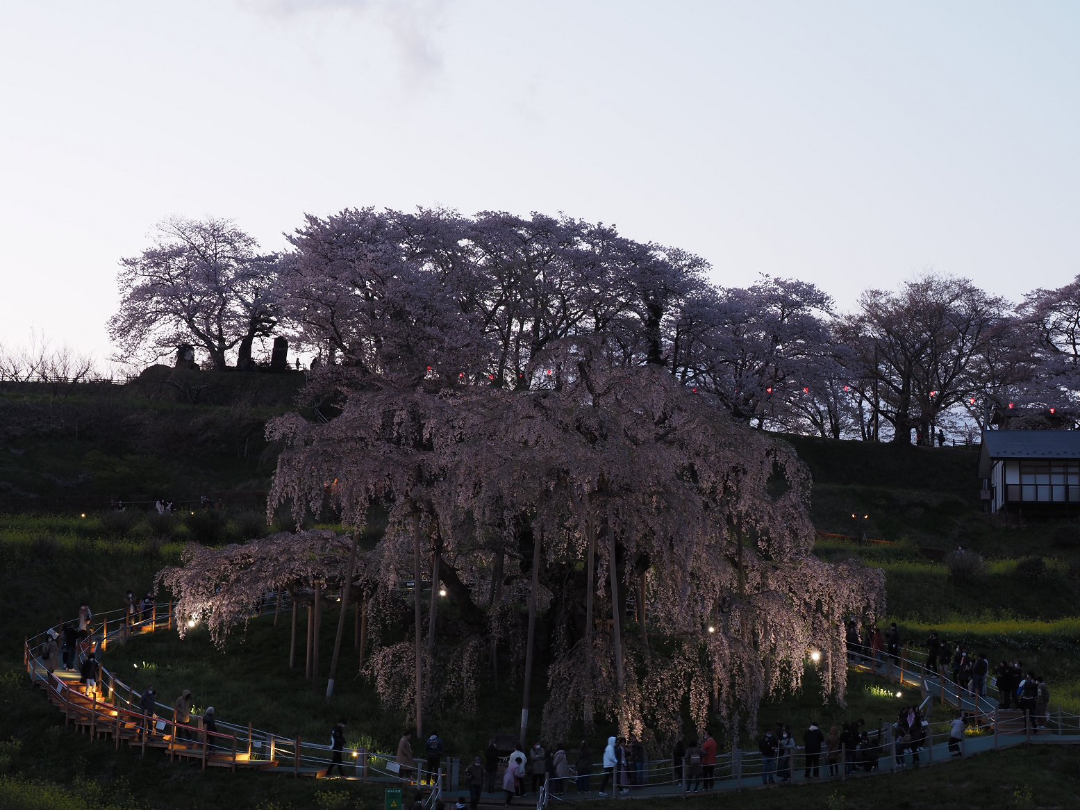 P4160315.jpg