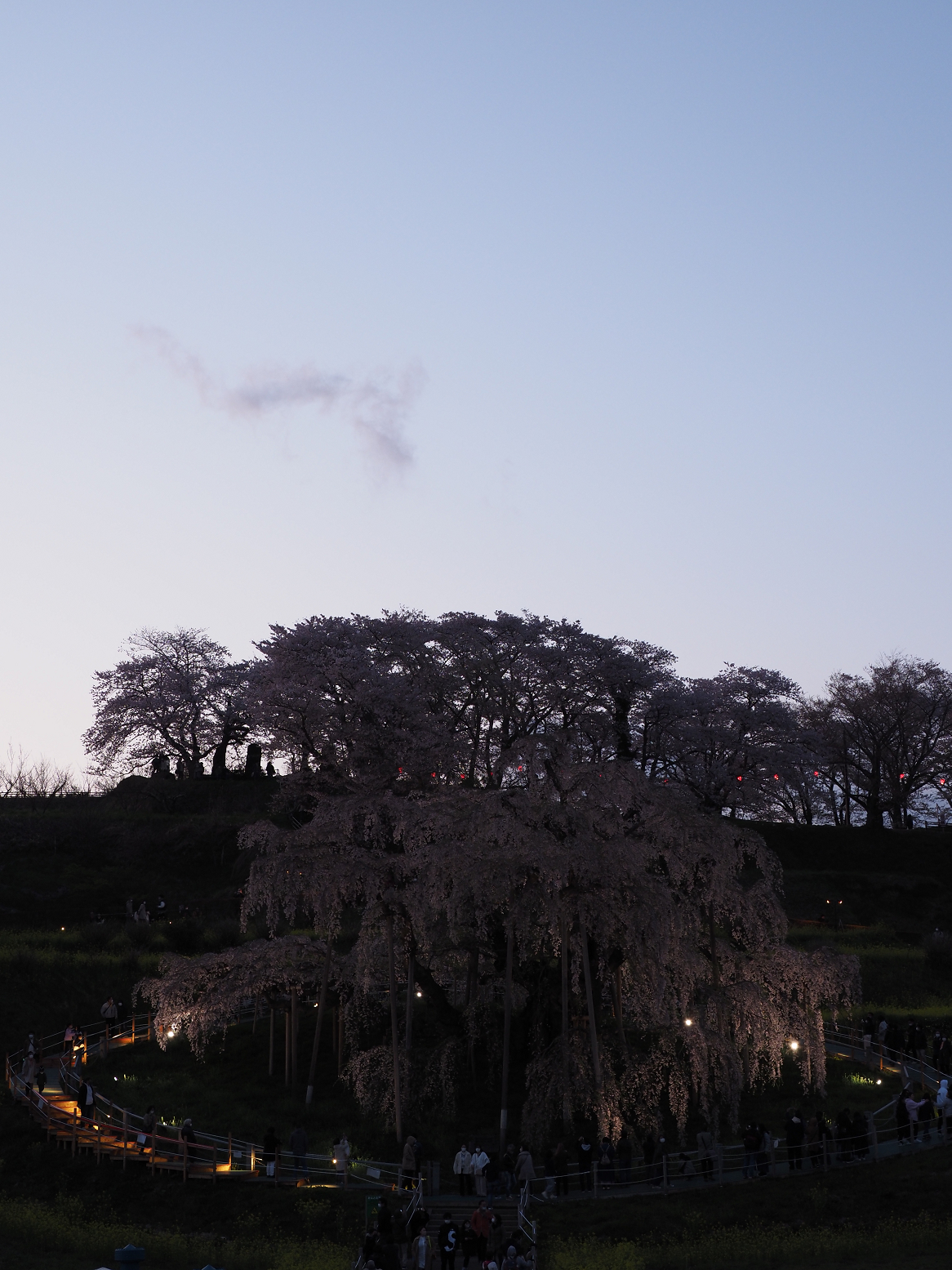 P4160316.jpg