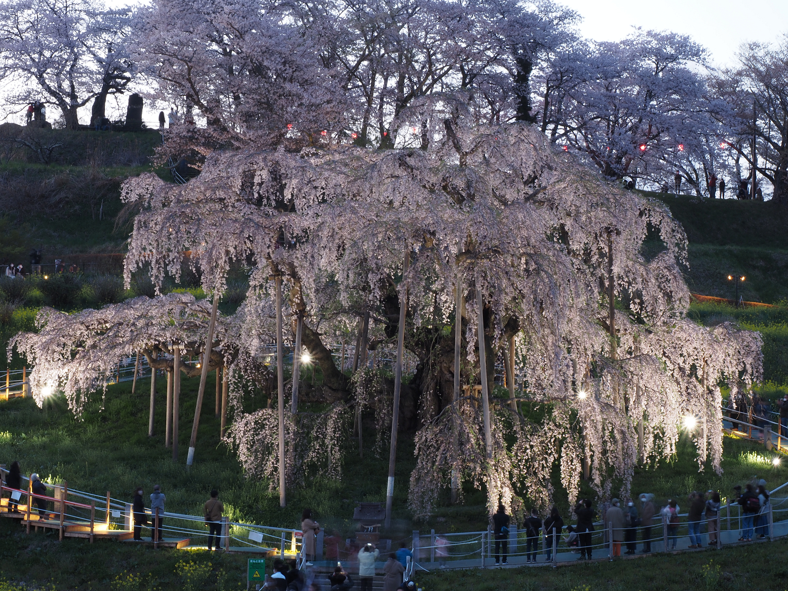 P4160321.jpg