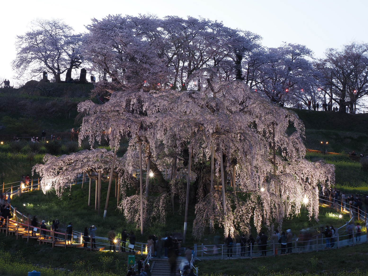 P4160322.jpg