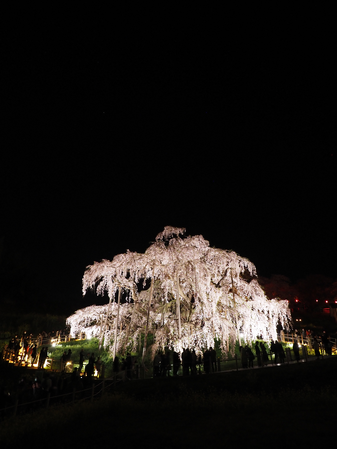 P4160433.jpg